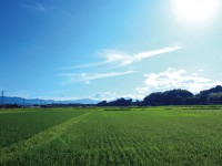 豊かな自然に囲まれた剣豪とフルーツの里、錦町