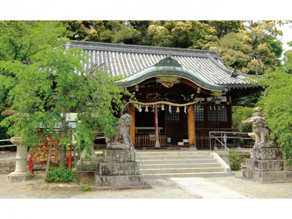 紅葉が色づく、神々が鎮守する春日神社へ。