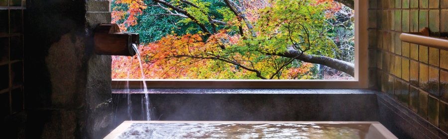 東府やResort&Spa-Izu 1泊2食付 無料宿泊券【1組2名様】