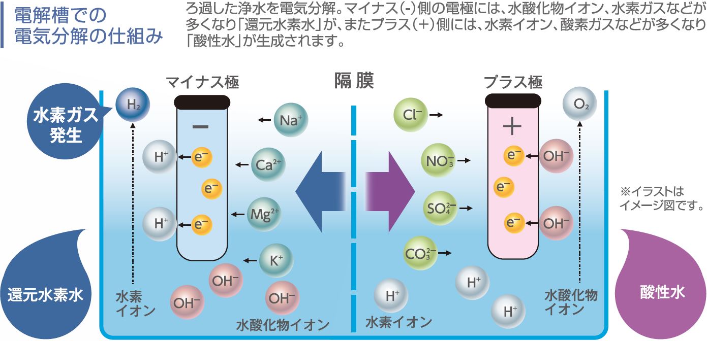 キャプチャ