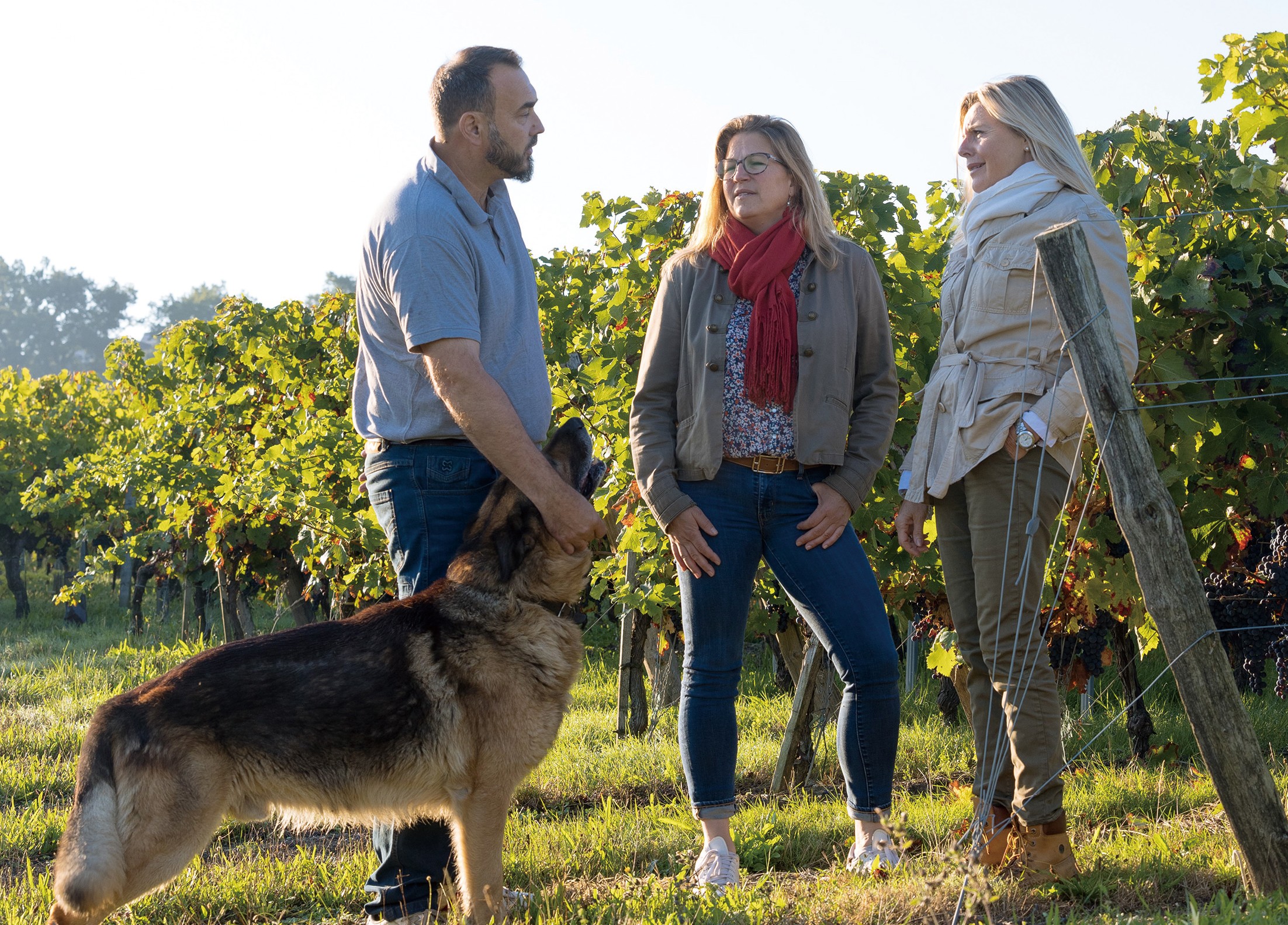 2_Clarendelle_Harvest2024_044